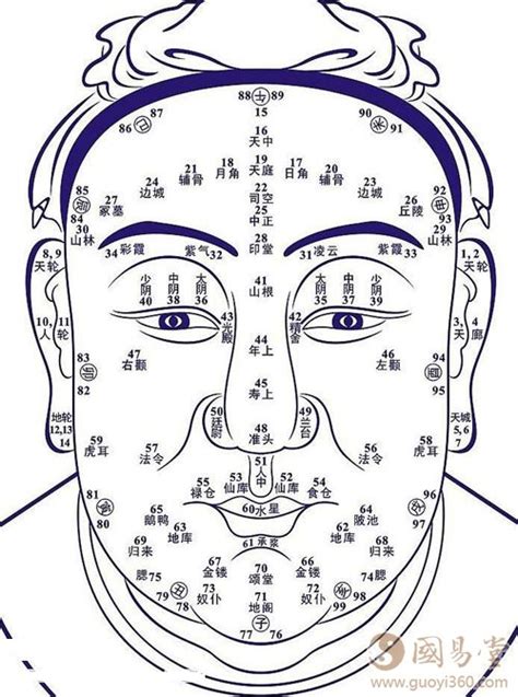 肚有痣|痣与命运的关系之腹部痣相图解大全